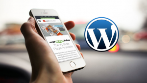 Wordpress website designer