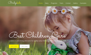 Wordpress designer Childrens online estore website