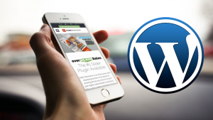 Wordpress website designer