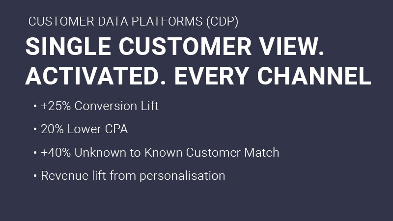 CDP (customer data management) consultants